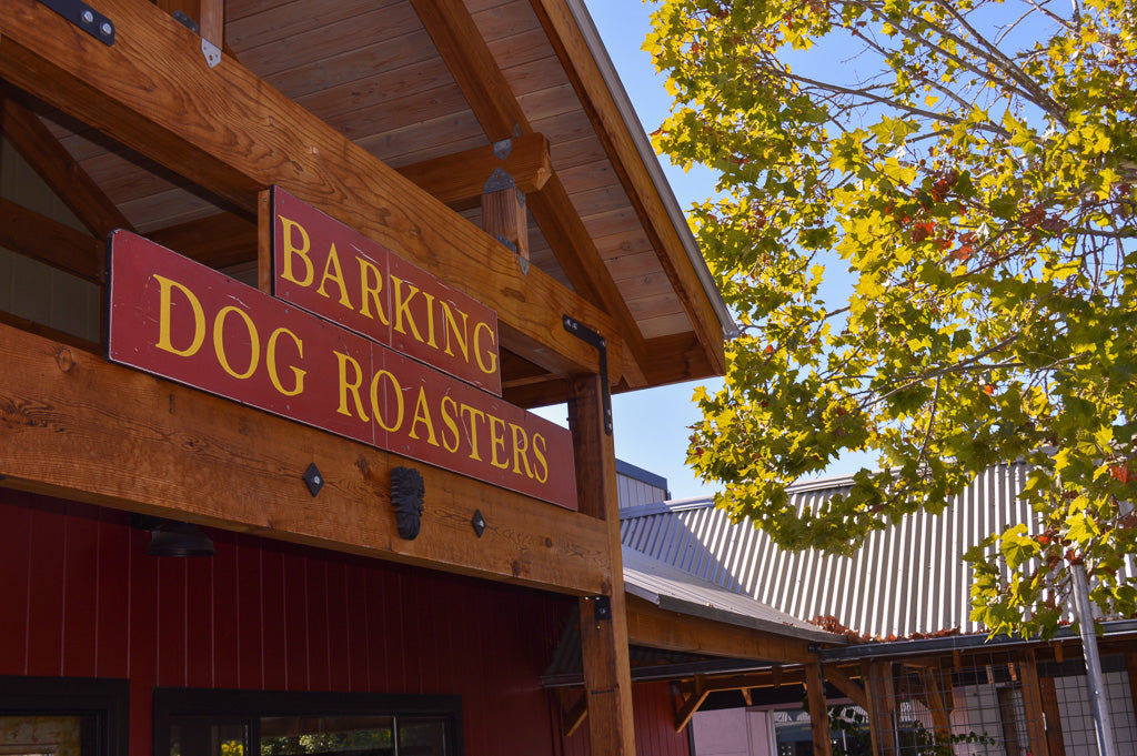 Barking Dog Roasters was founded in 1995 by Peter Hodgson.  Today, his son Victor roasts their beloved coffees and runs the Barking Dogs at their Boyes Hot Springs location.