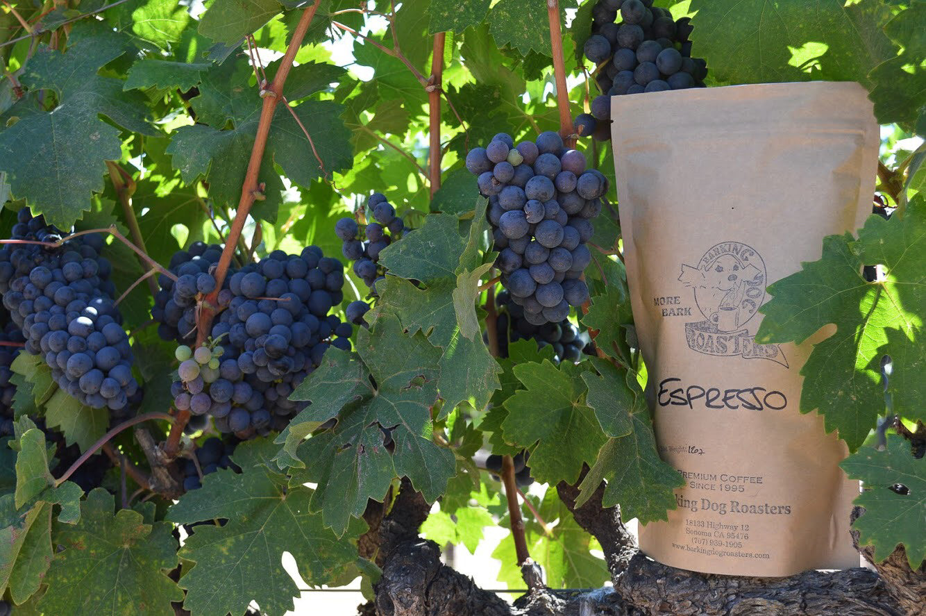 Espresso blend in a vineyard. 12oz of the best espresso, grapes for wine making not included.