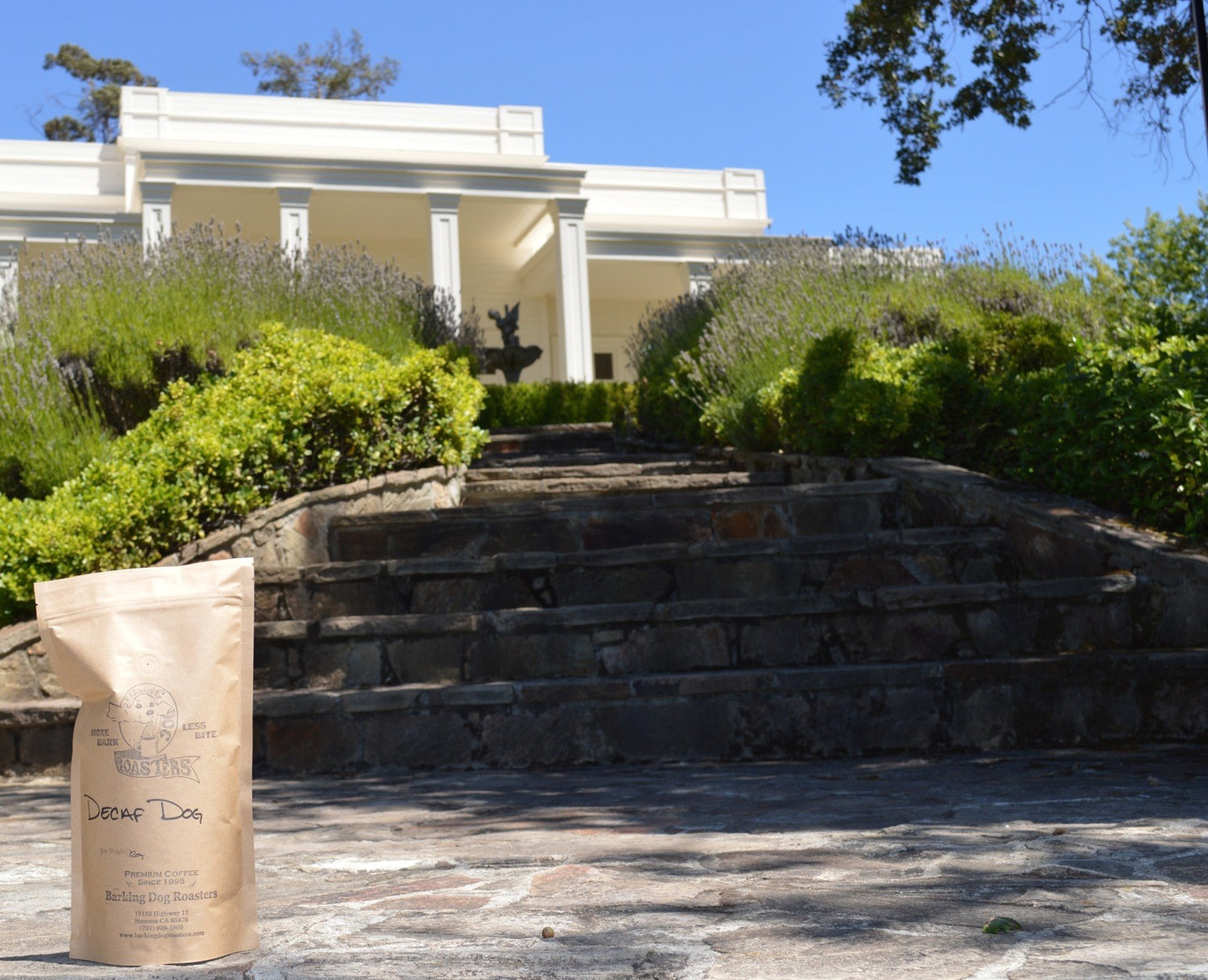 Decaf Dog - Barking Dog Roasters
