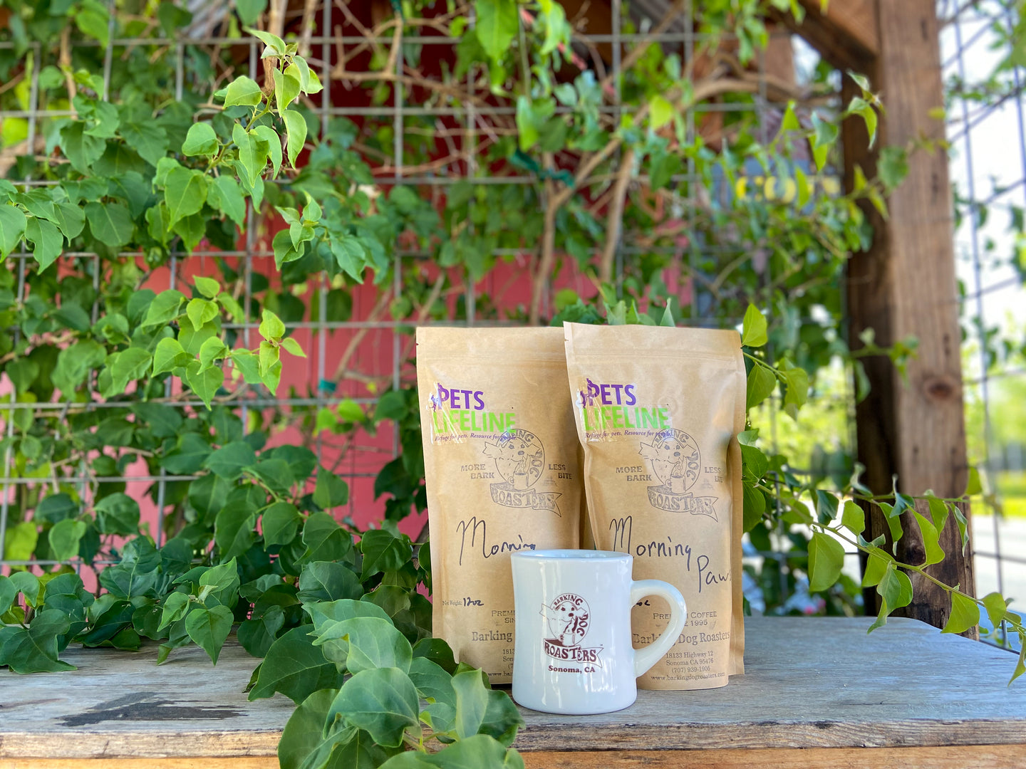 Morning Paws - Barking Dog Roasters